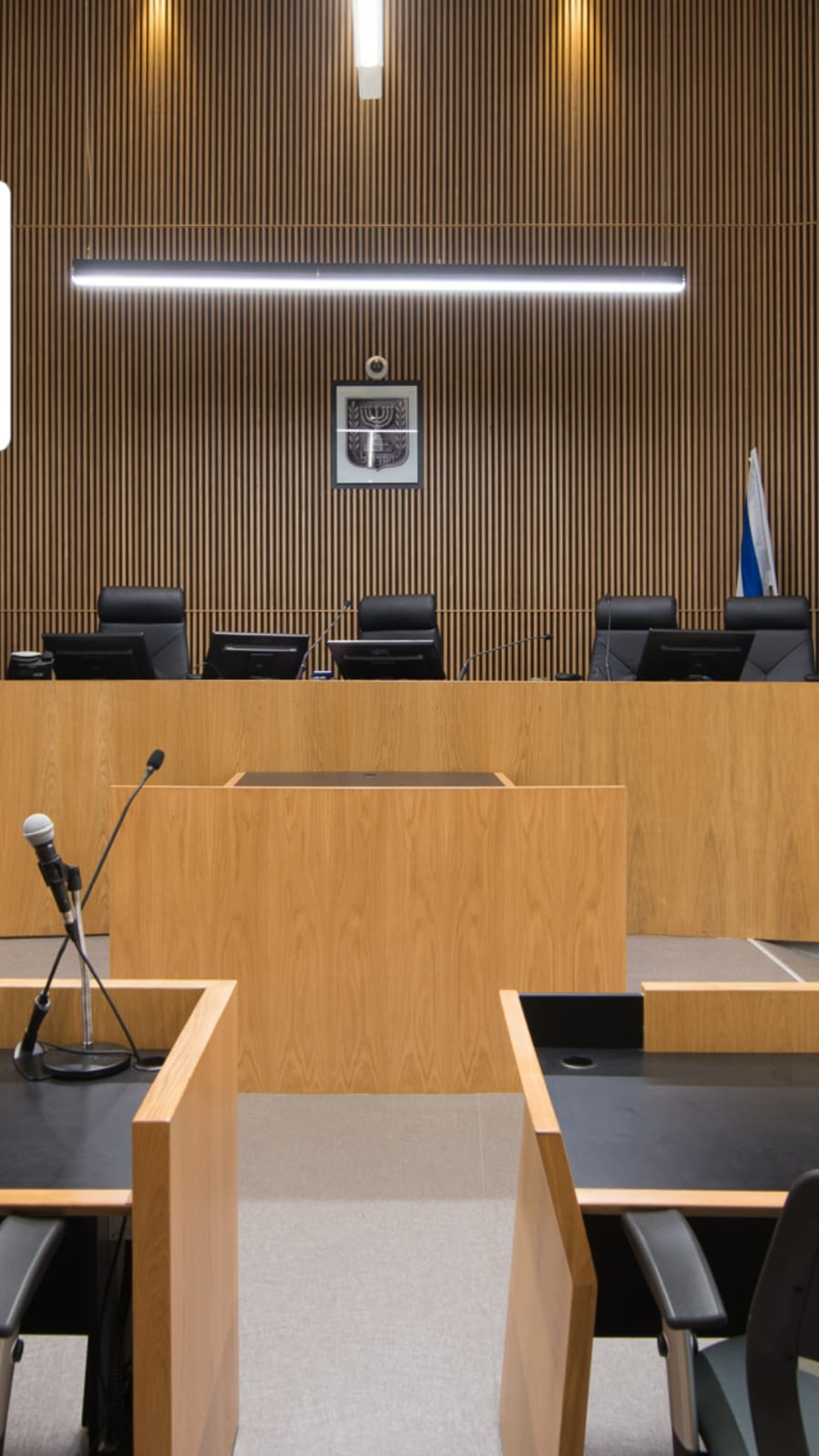 השופט הצביע על פגמים חמורים בעבודת המשטרה, צילום: אבי פוגל